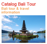 Bali Tour Information & Best Indian Restaurant in bali